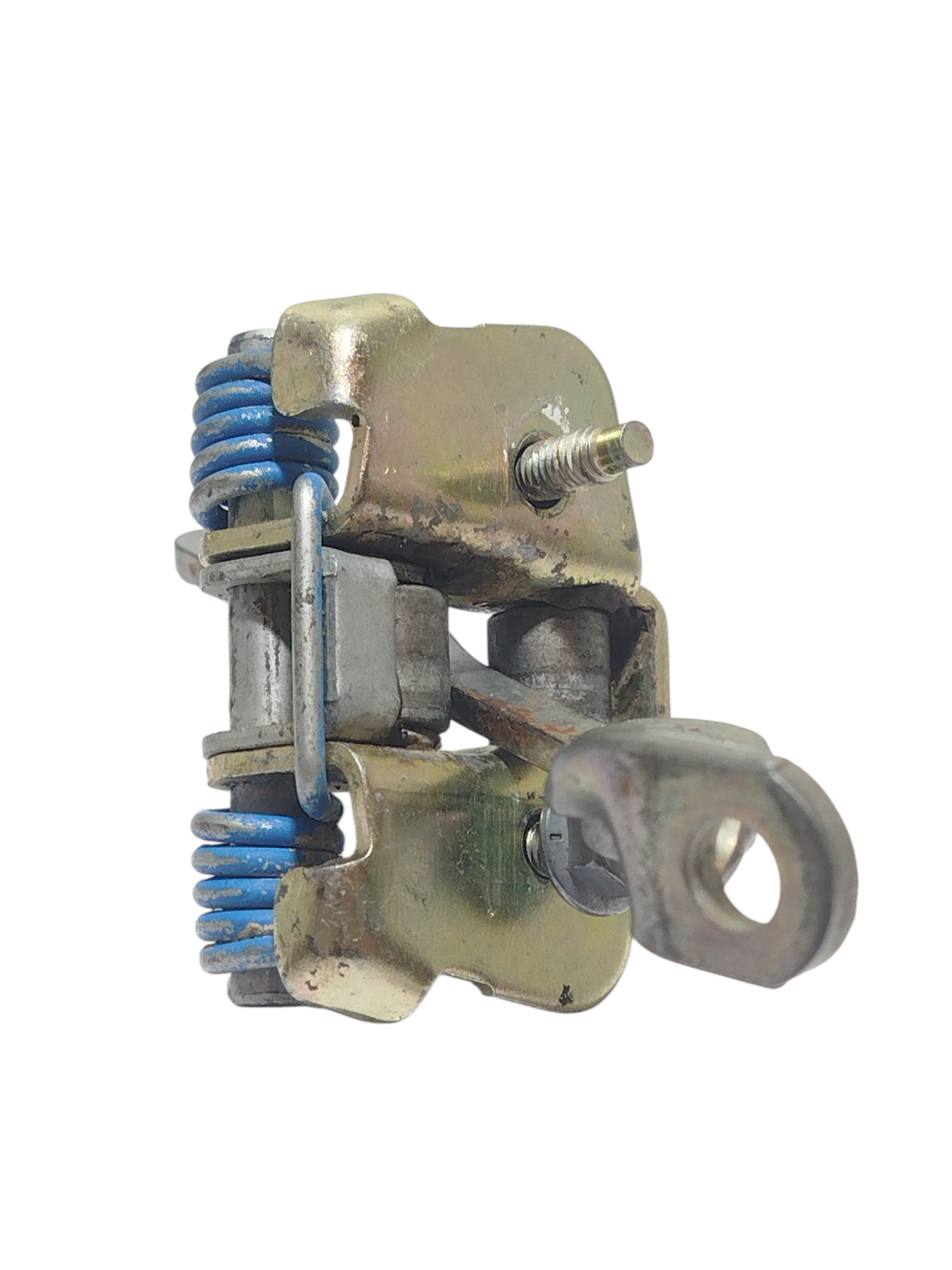 Miniatura 6
