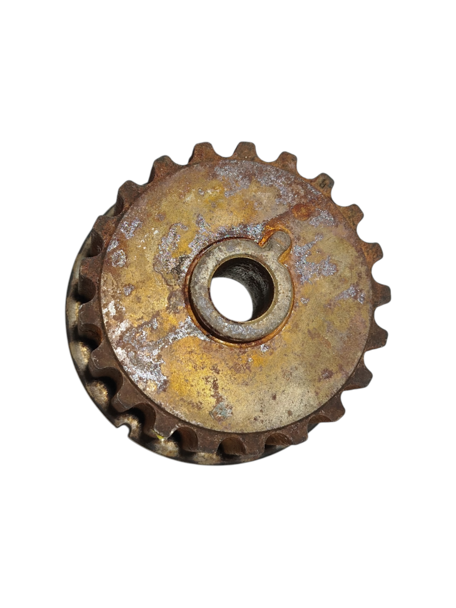 Miniatura 6