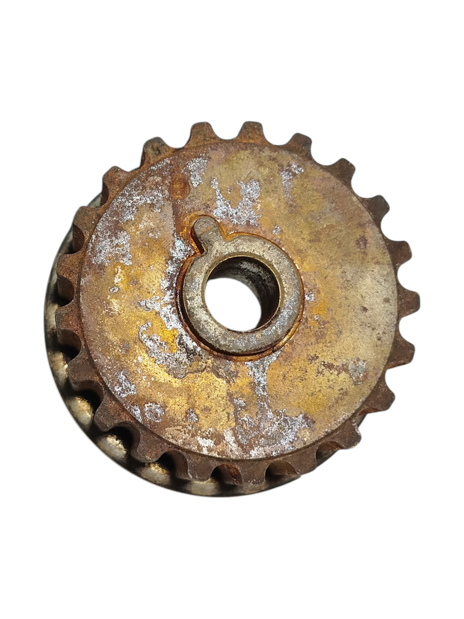 Miniatura 8