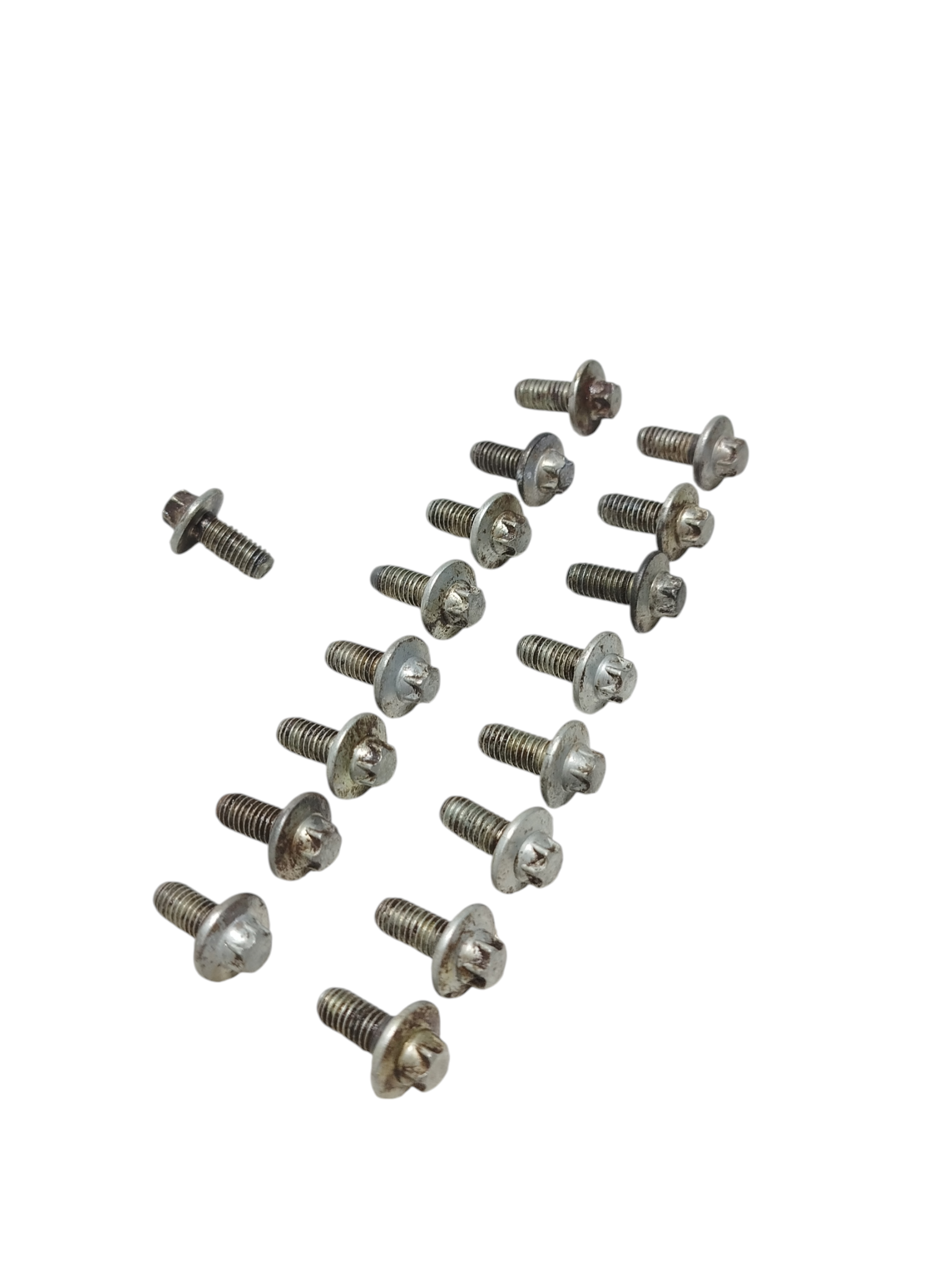 Miniatura 8