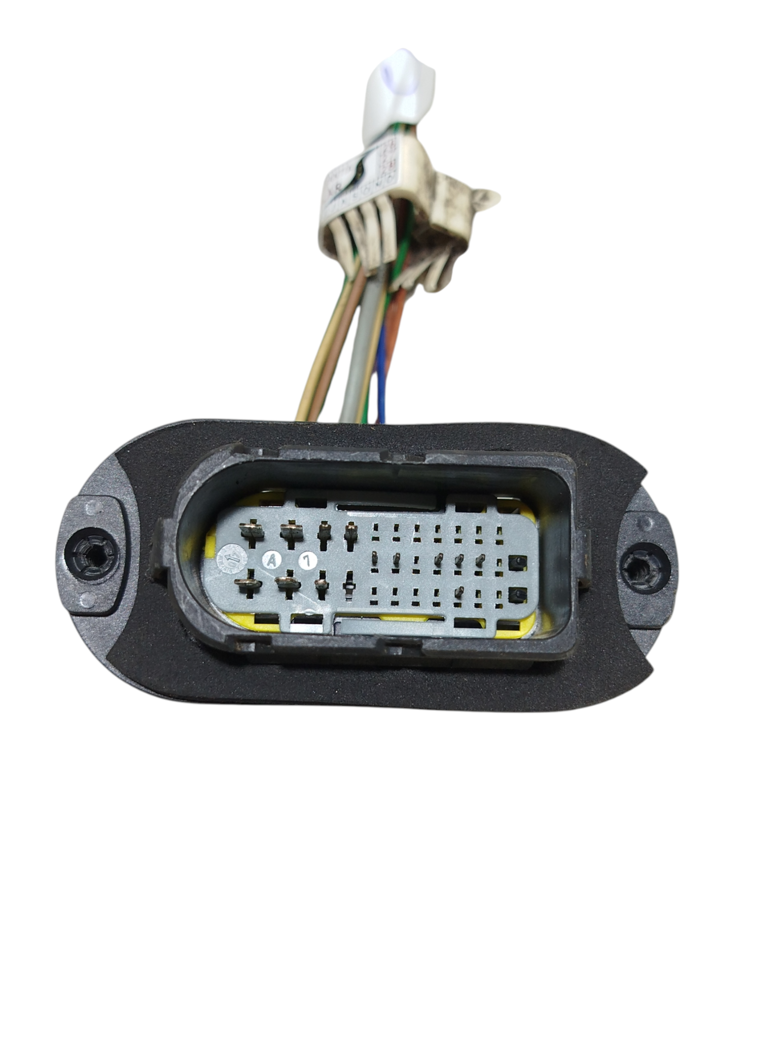 Miniatura 7