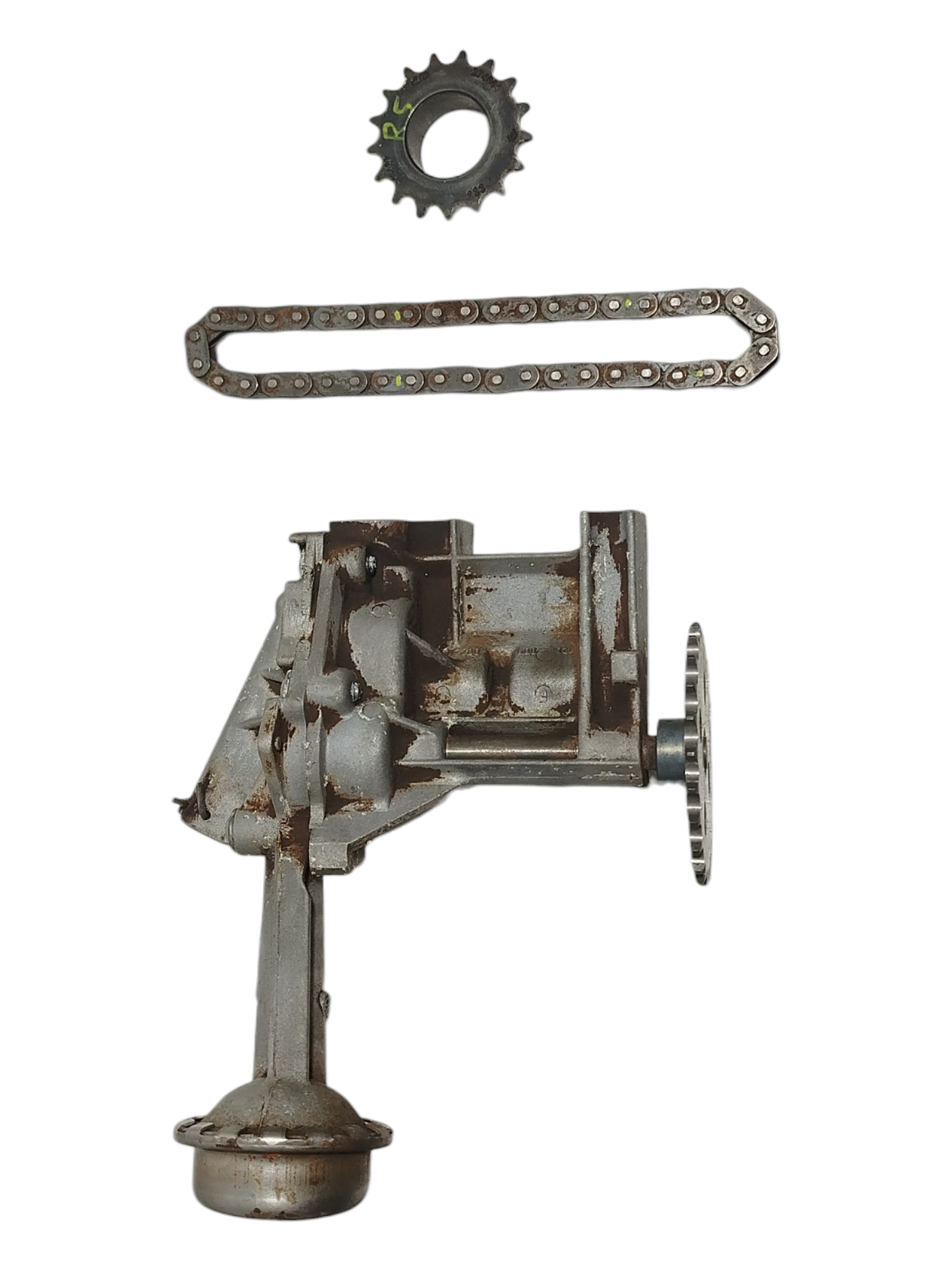 Miniatura 6