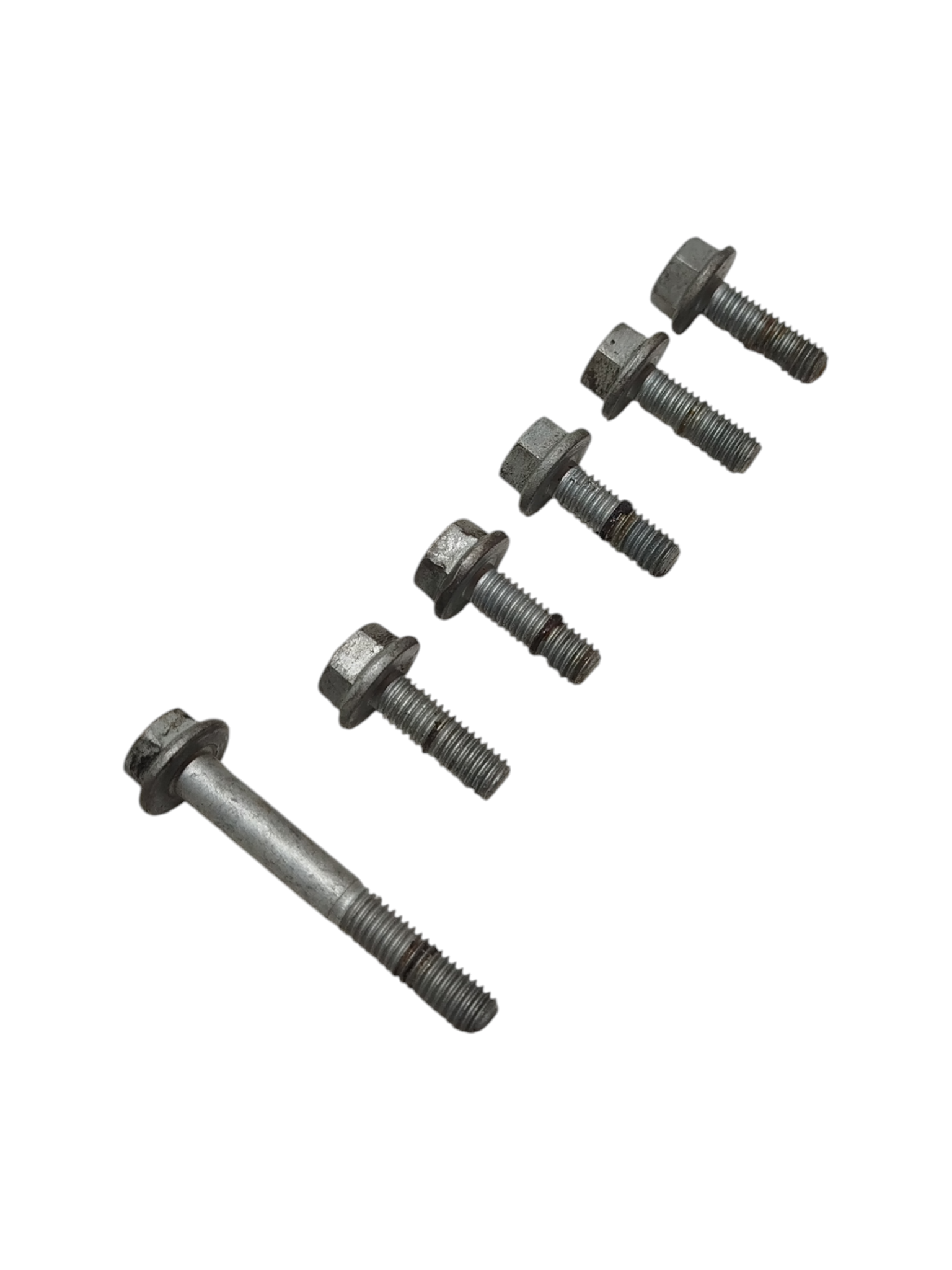 Miniatura 7