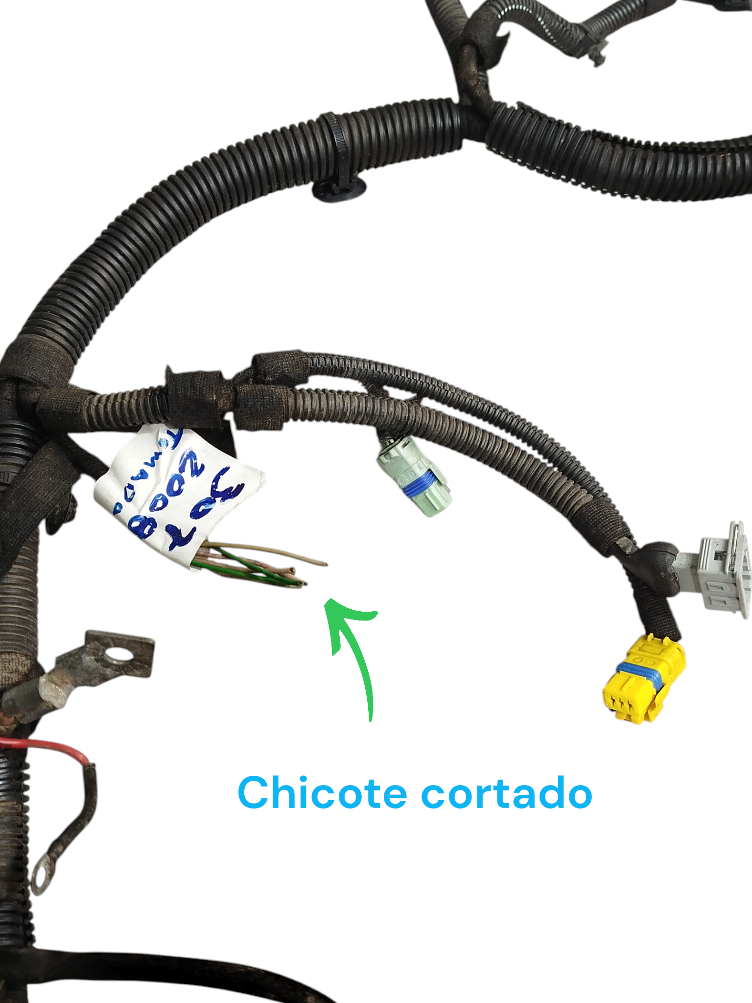 Miniatura 9