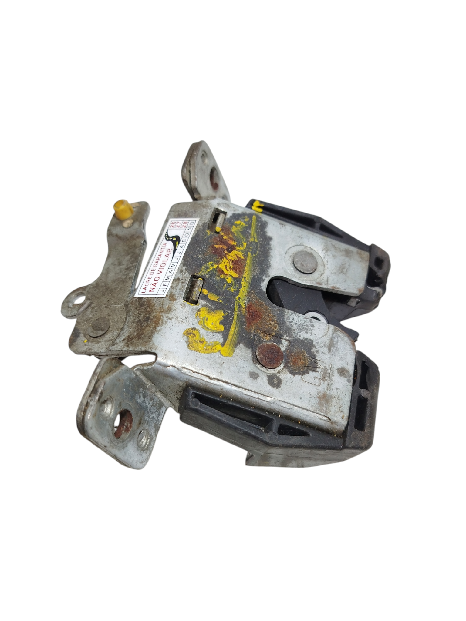 Miniatura 7