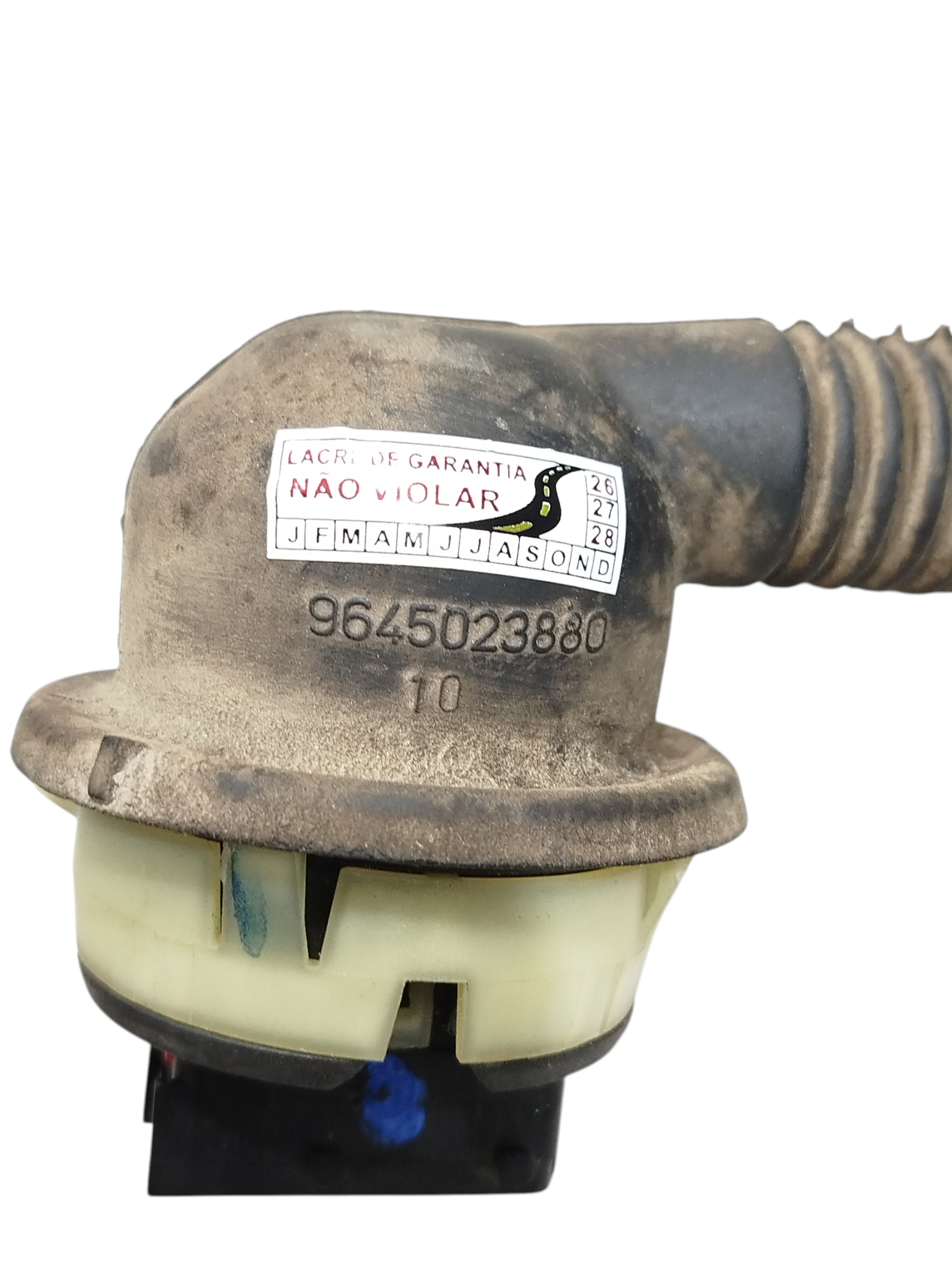 Miniatura 9