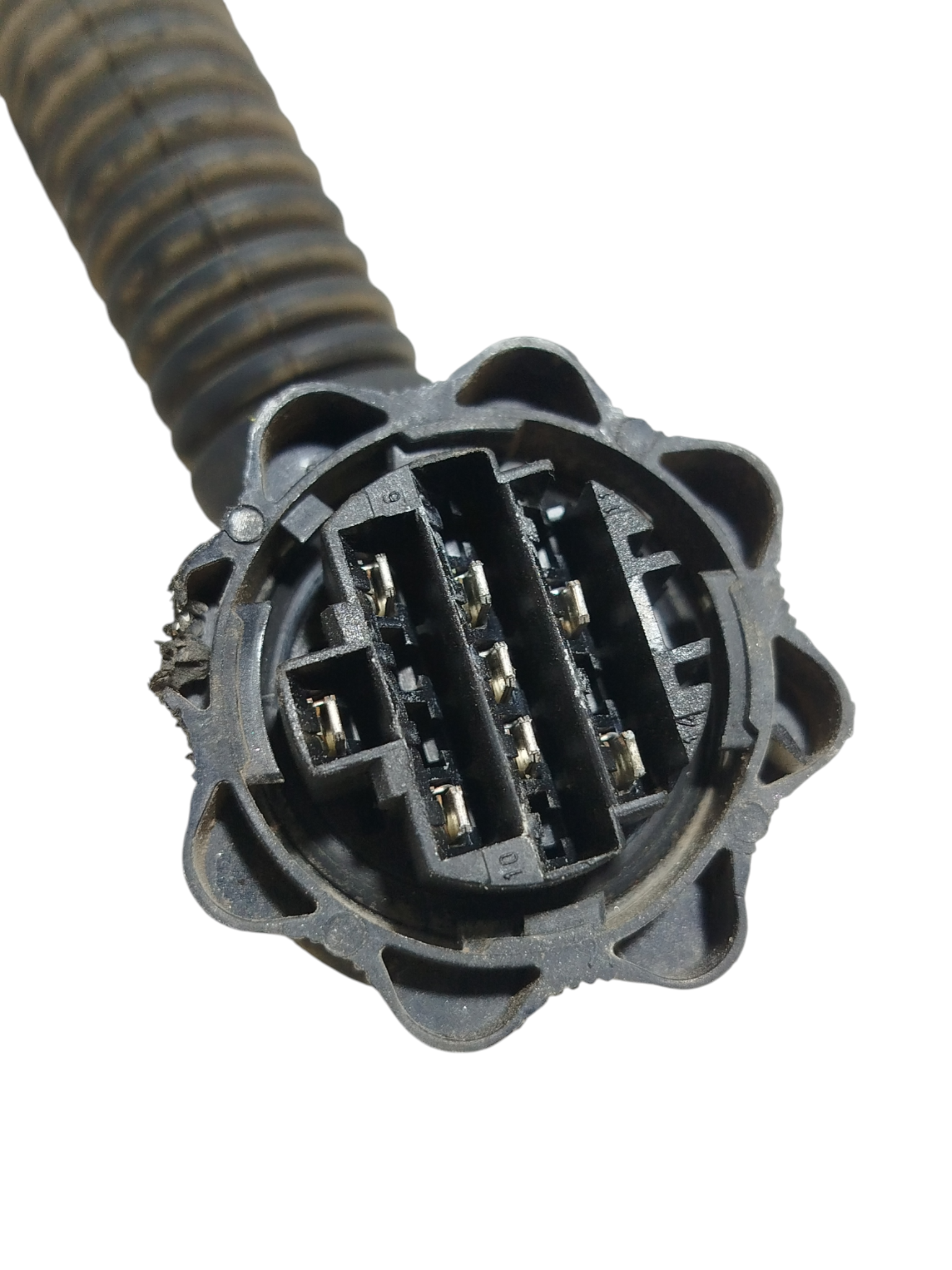 Miniatura 7