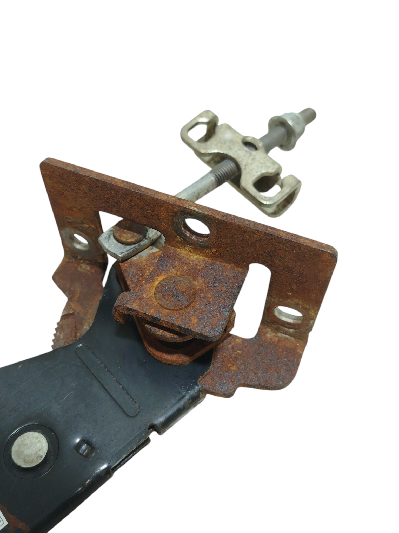 Miniatura 7