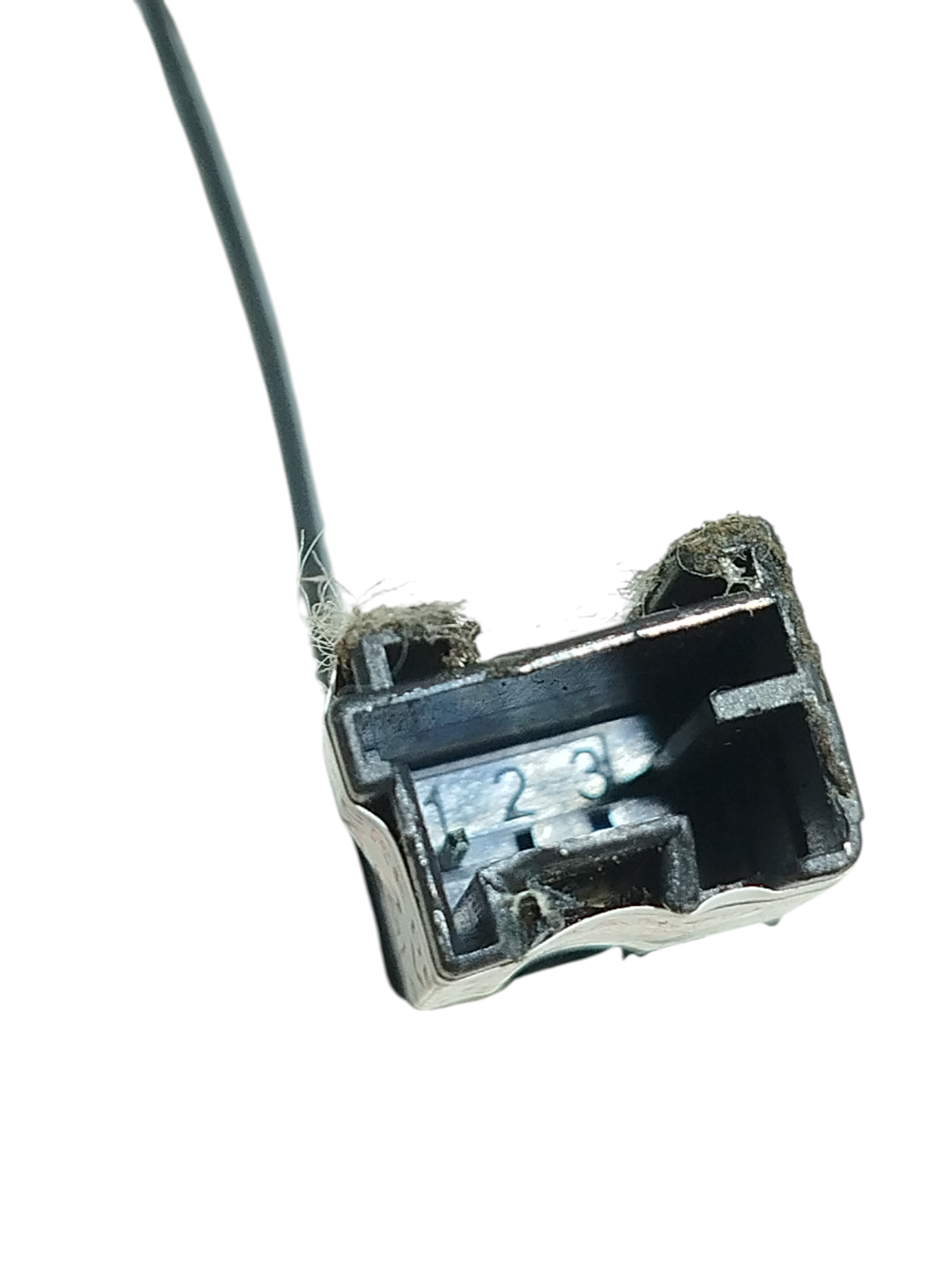 Miniatura 7
