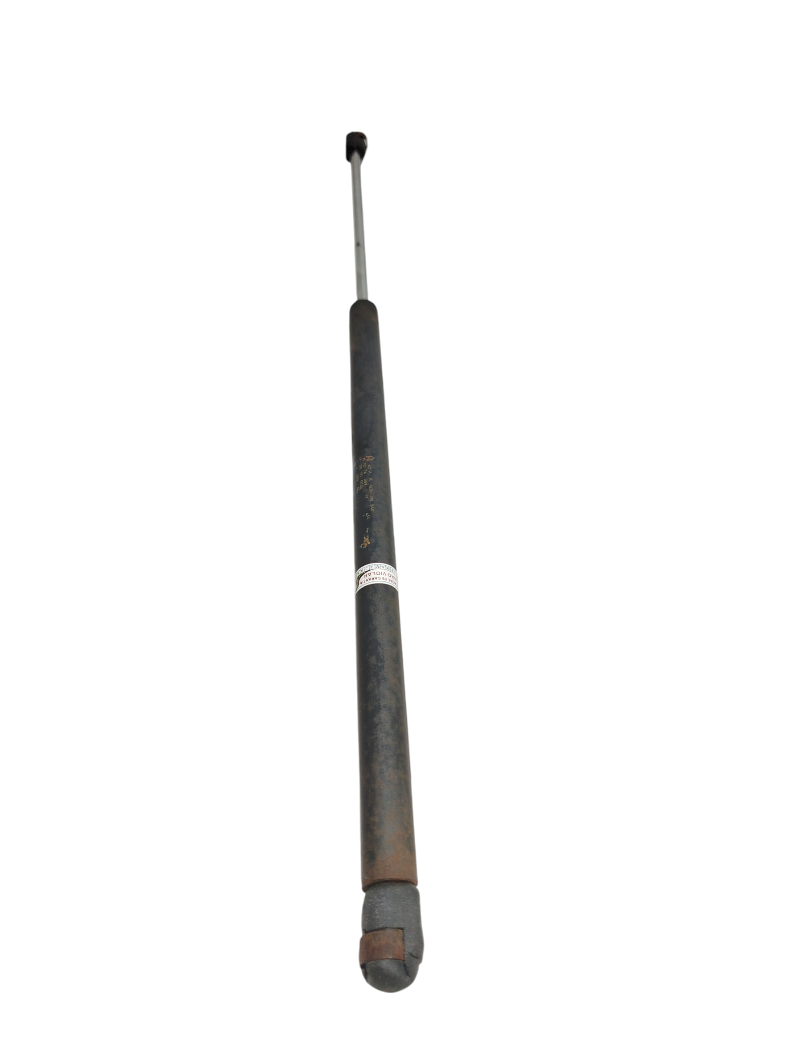 Miniatura 7