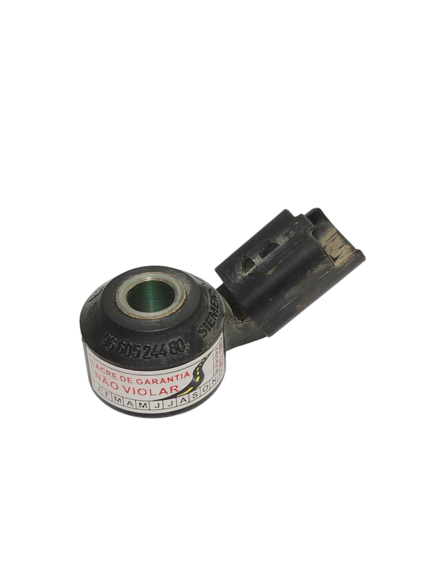 Miniatura 6