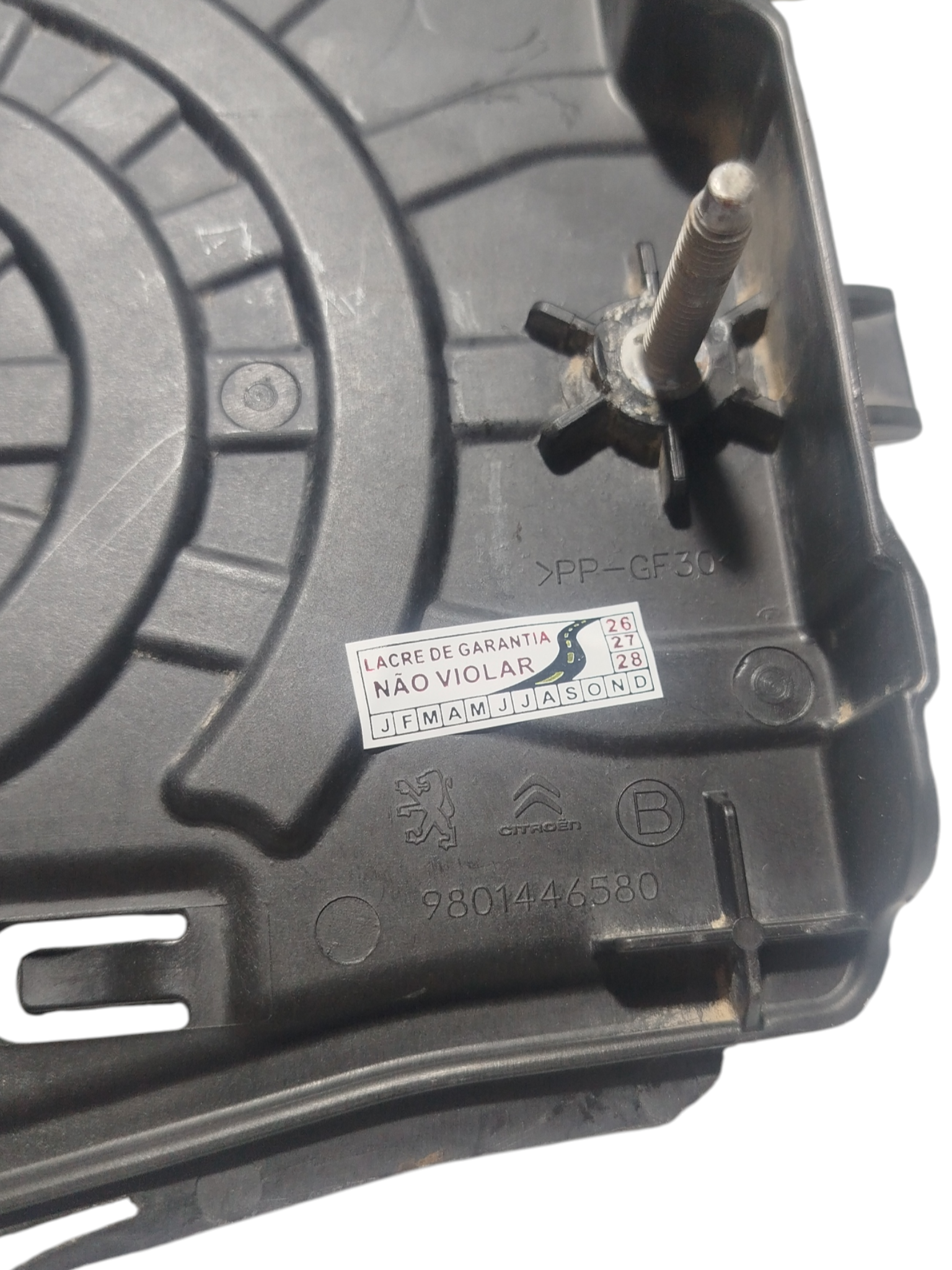 Miniatura 7