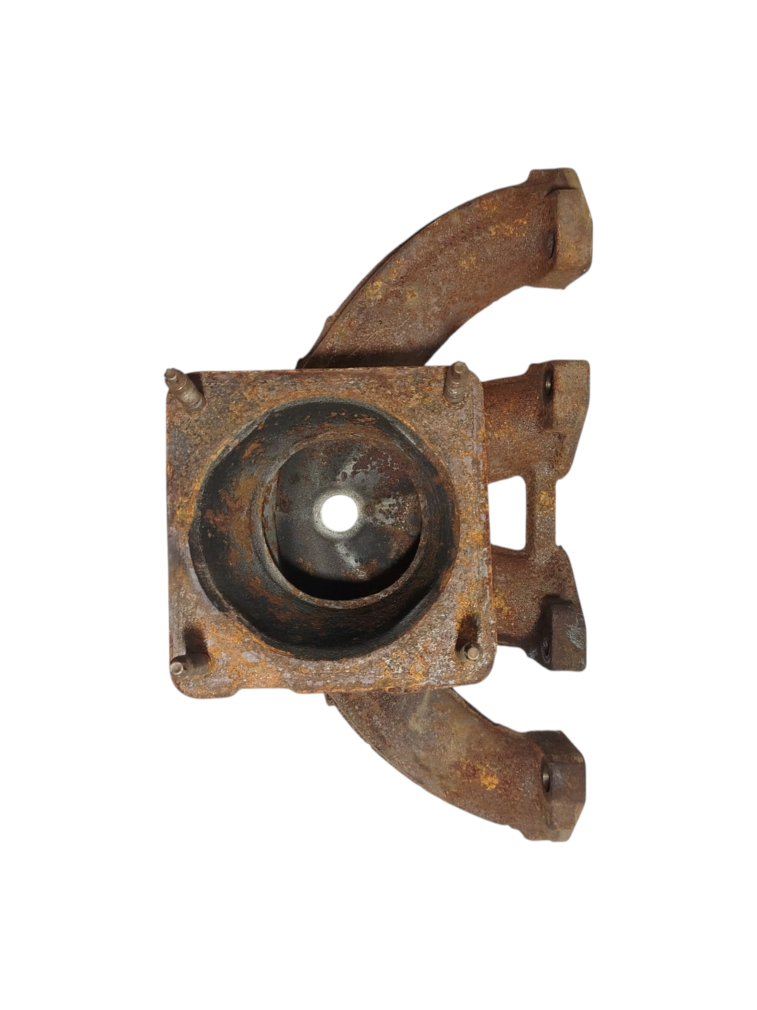 Miniatura 8