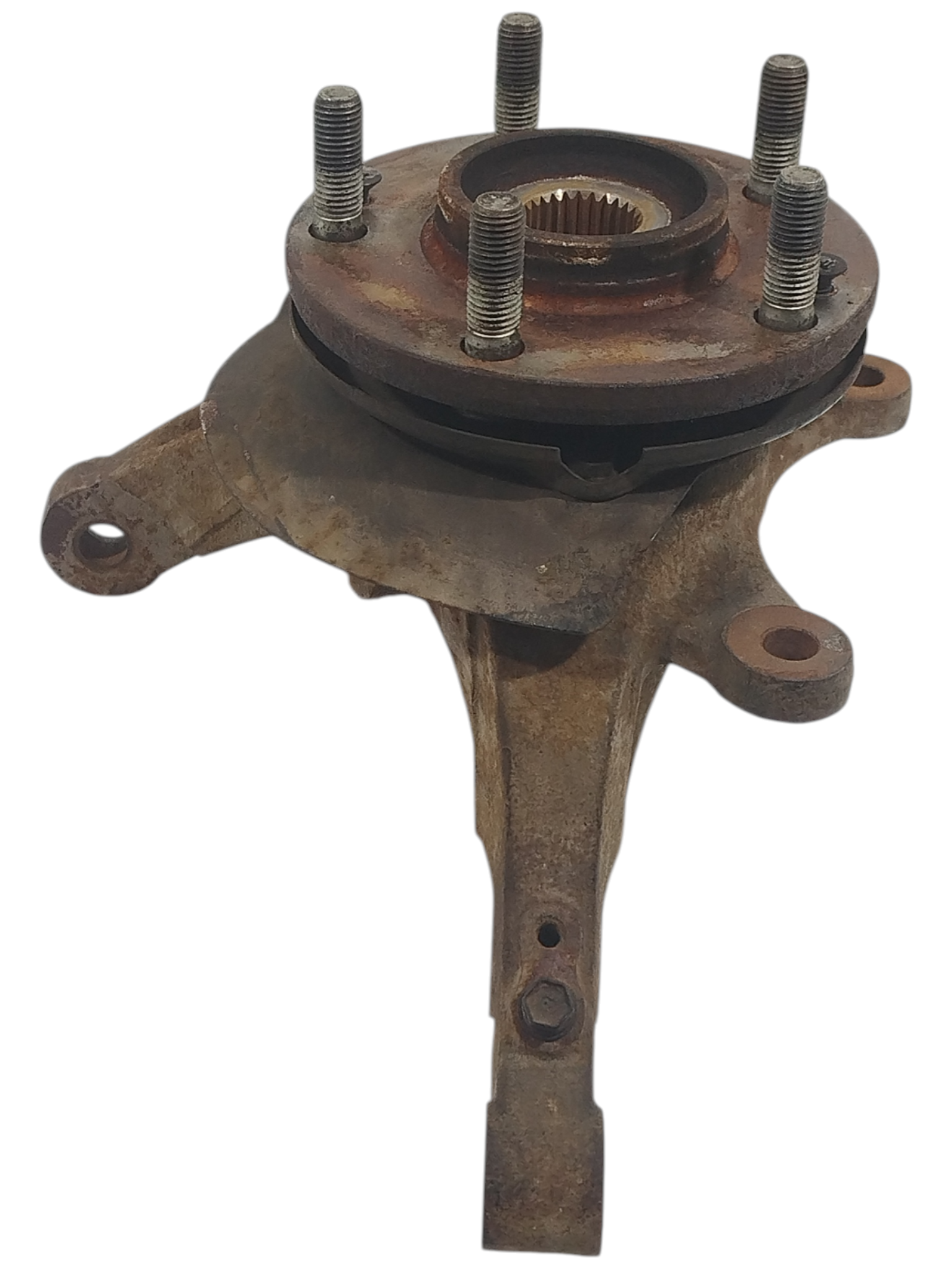 Miniatura 5
