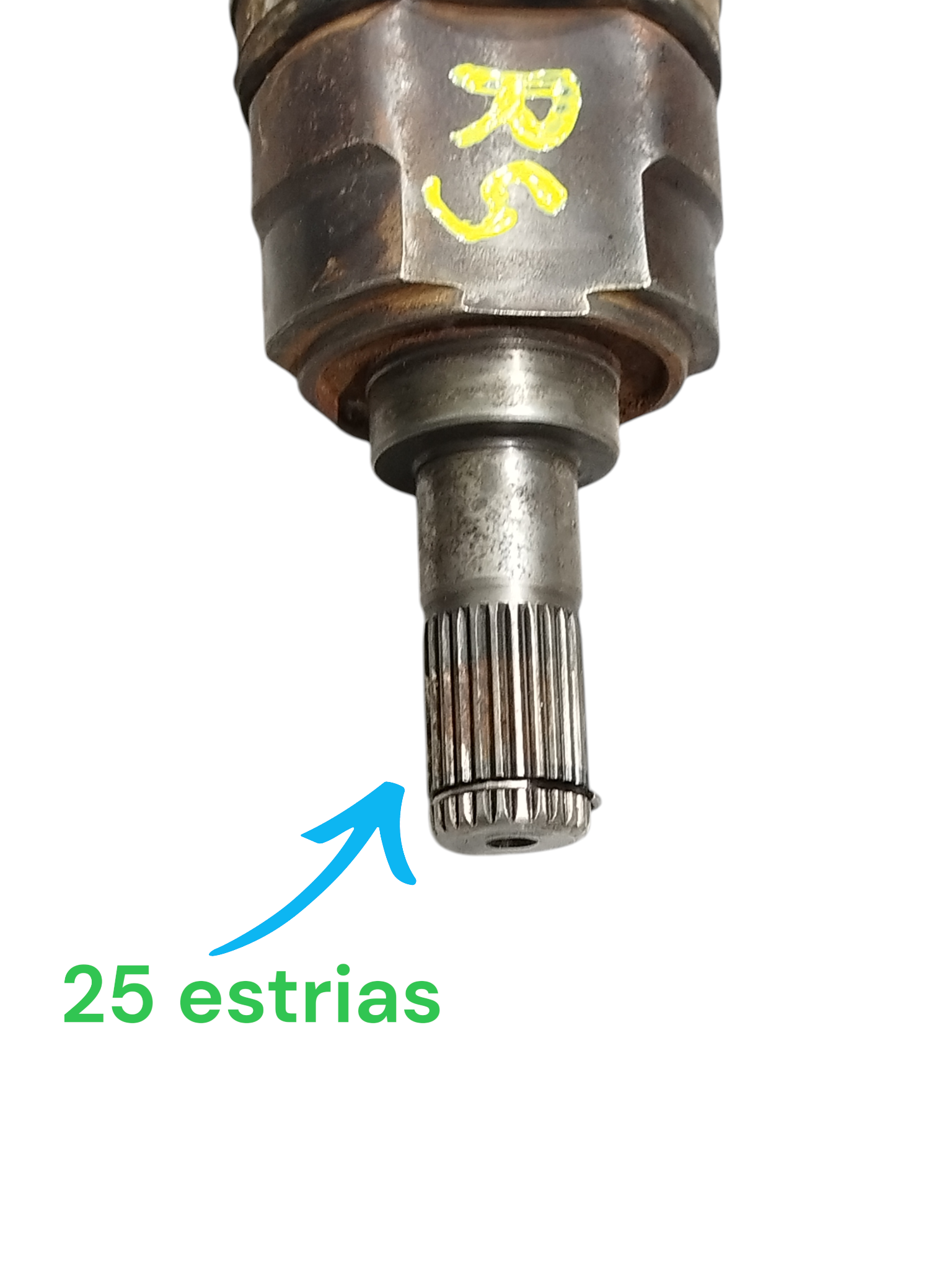 Miniatura 6