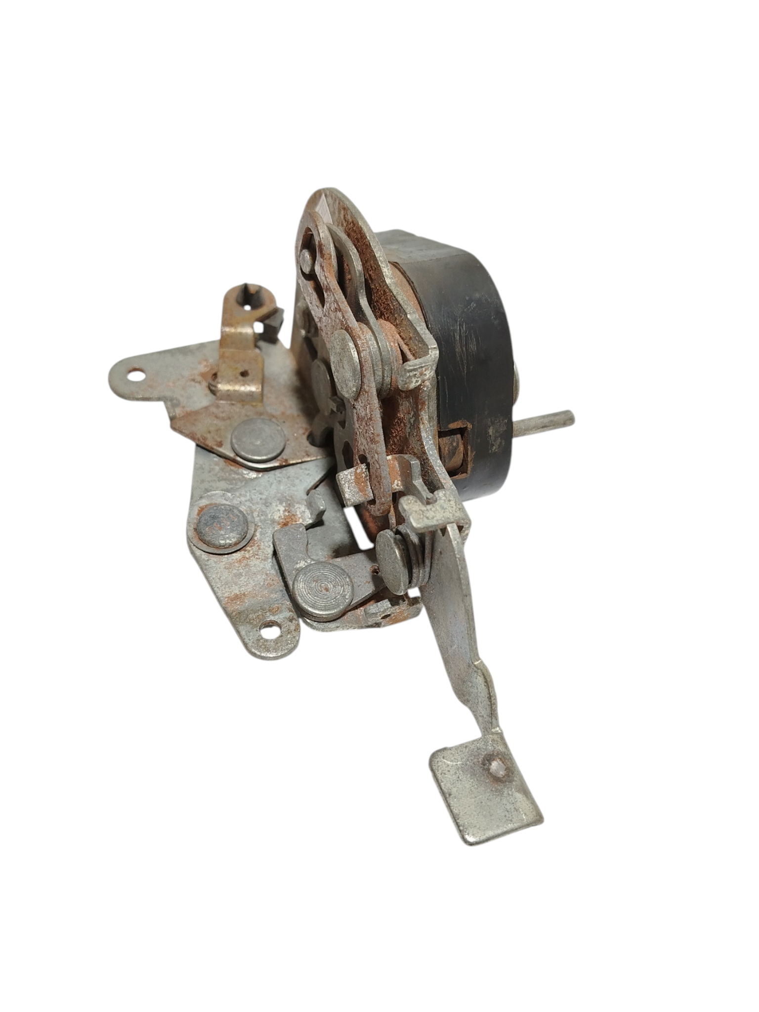 Miniatura 8