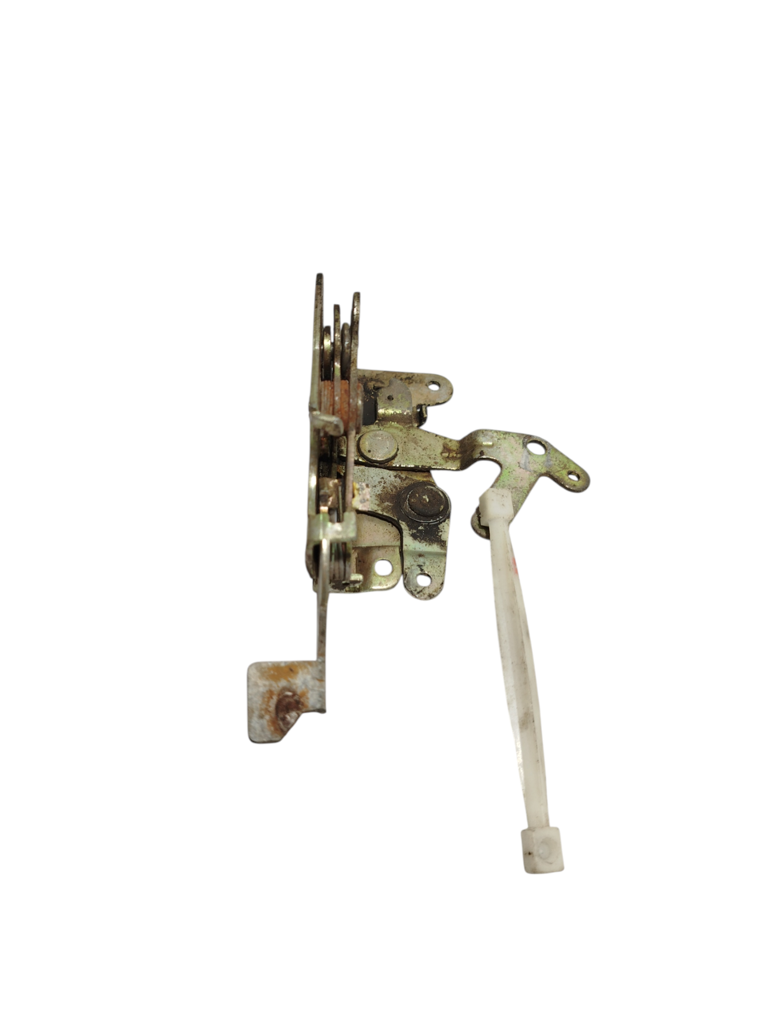 Miniatura 8