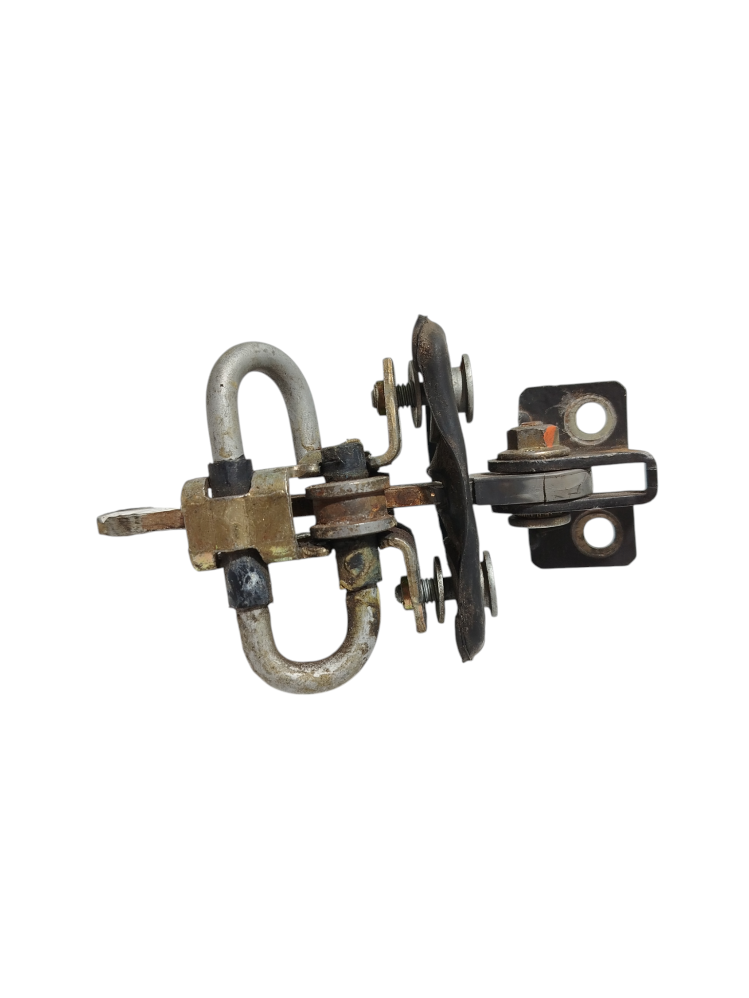 Miniatura 7
