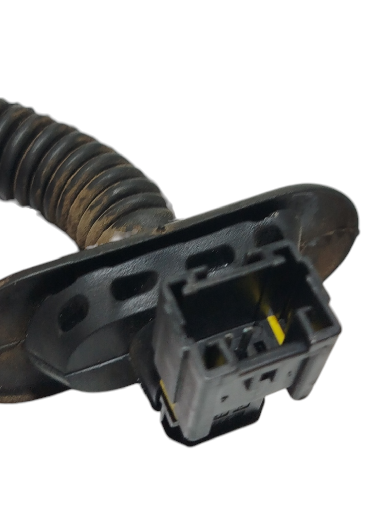 Miniatura 8