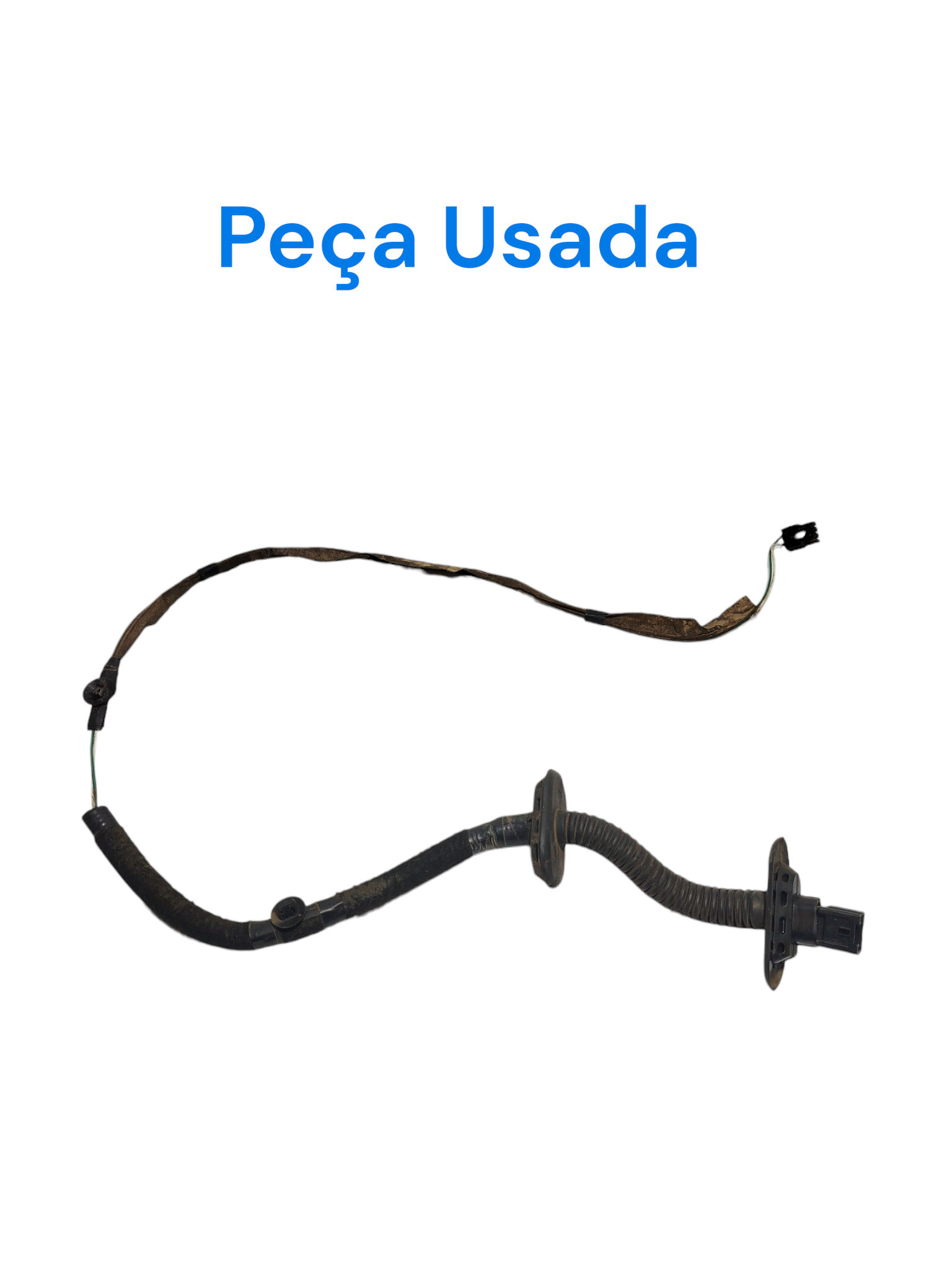 Chicote Porta Traseira Direita Renault Scenic 2001