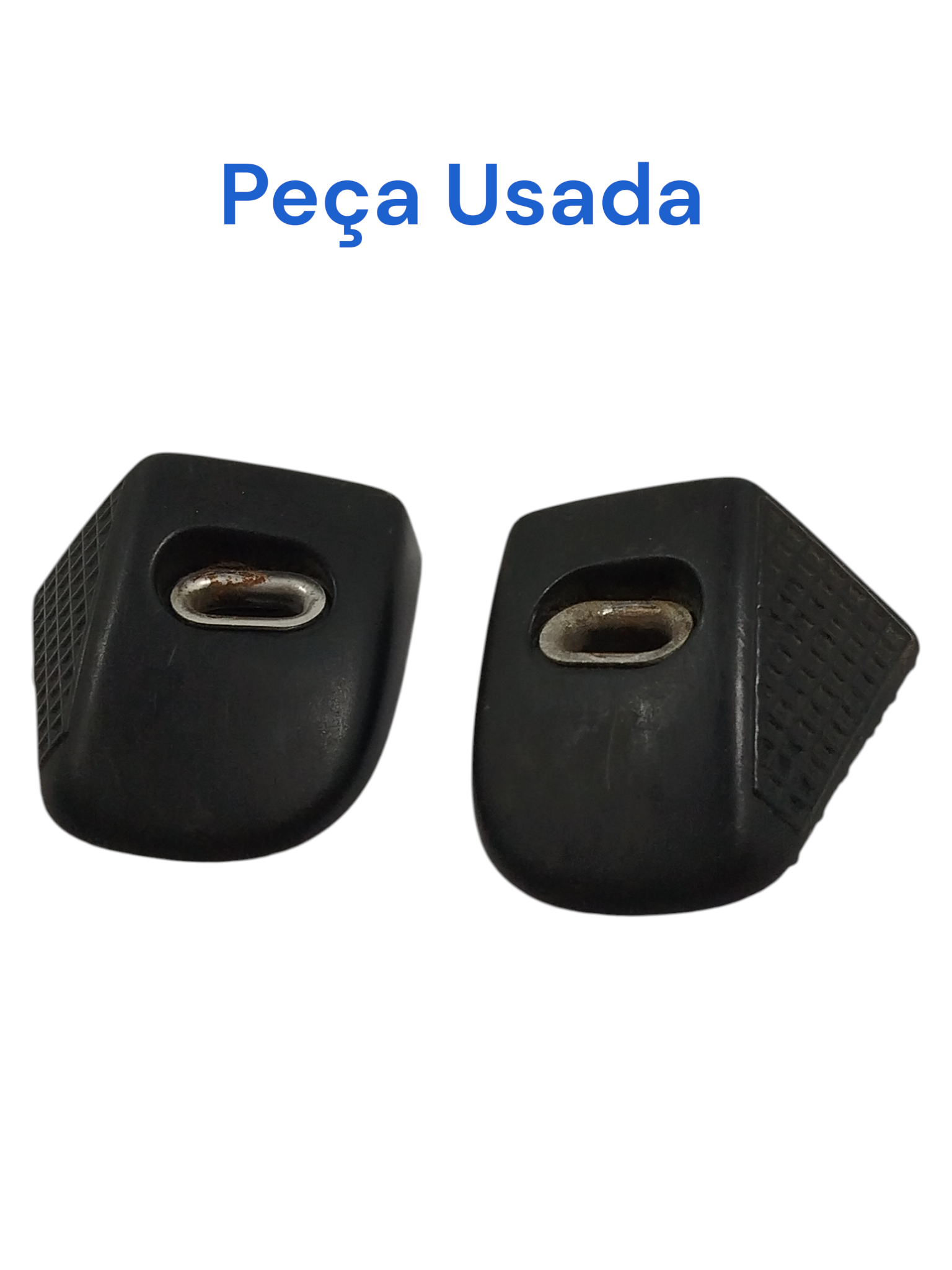 Par Batente Tampa Tras Renault Scenic 2001 original G845486