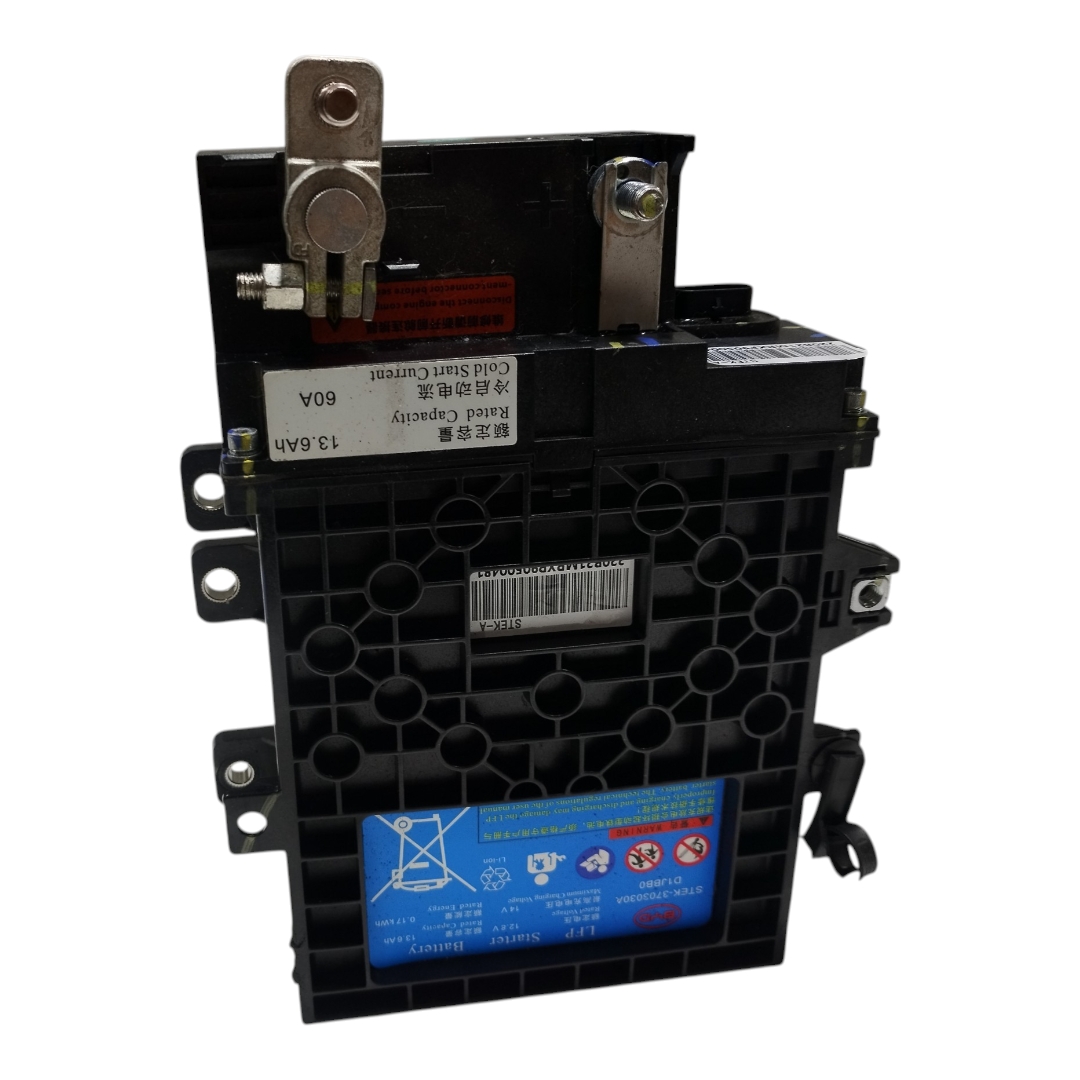 Bateria Auxiliar BYD DOLPHIN GS 2024 2025