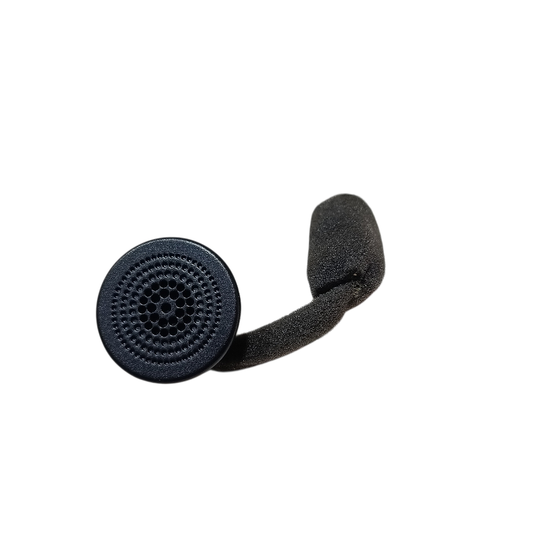 Tweeter Teto Byd Dolphin GS 2024 2025