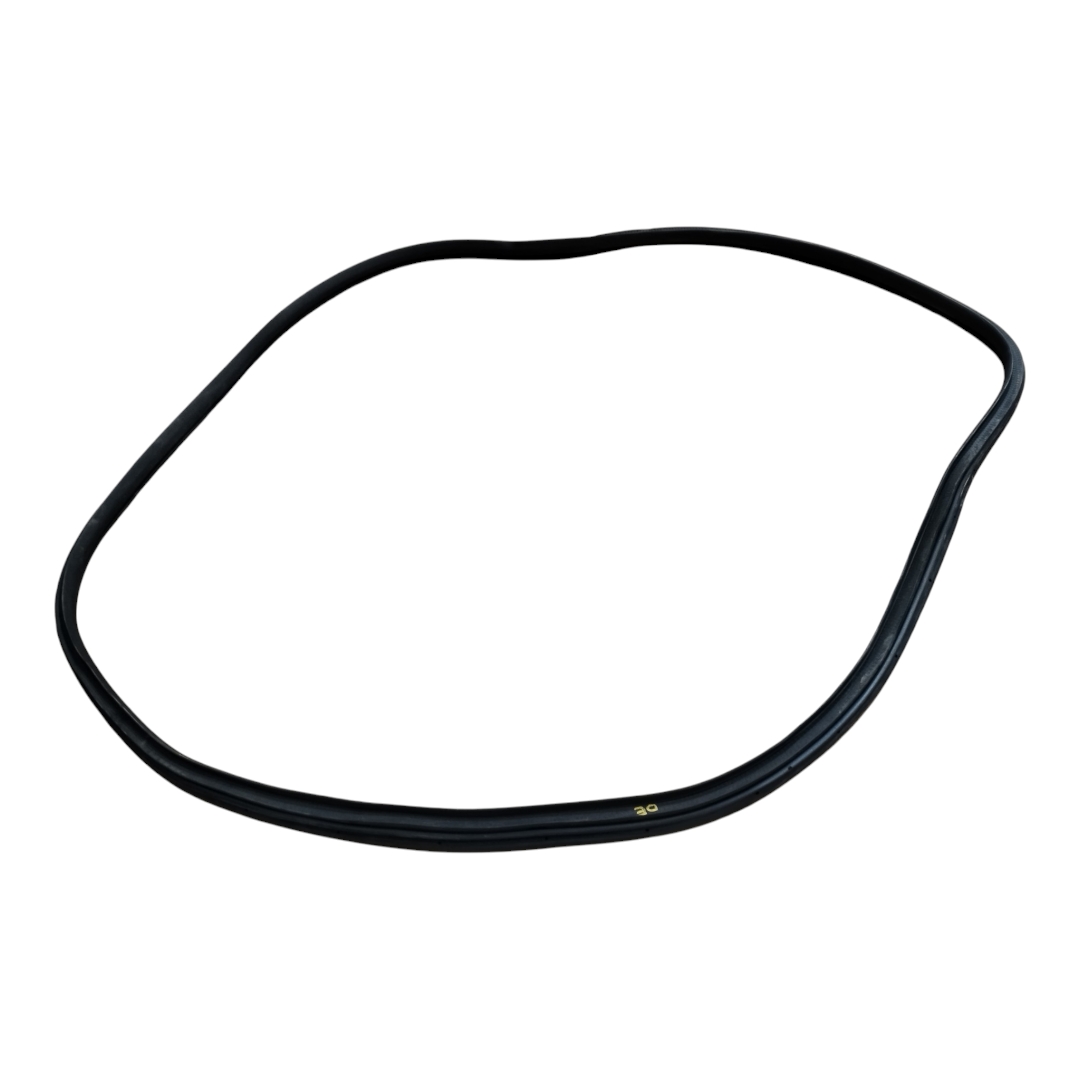 Borracha porta dianteira esquerda BYD DOLPHIN GS 2024 2025