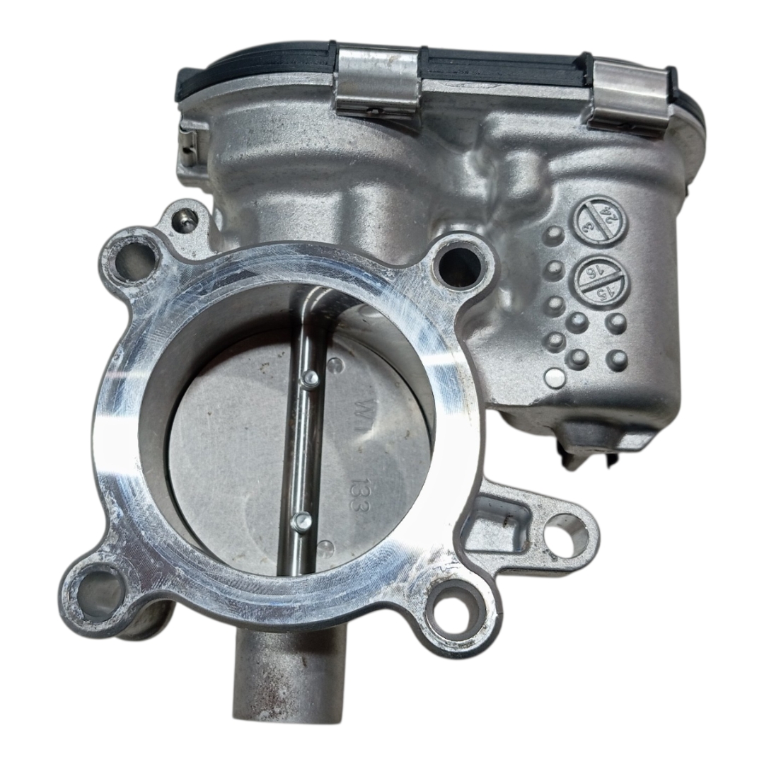 Tbi Corpo Borboleta Byd Song Pro 2024 2025