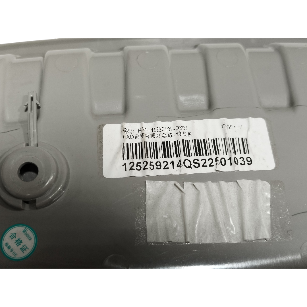 luz cortesia teto porta óculos Byd king gs 2025 9
