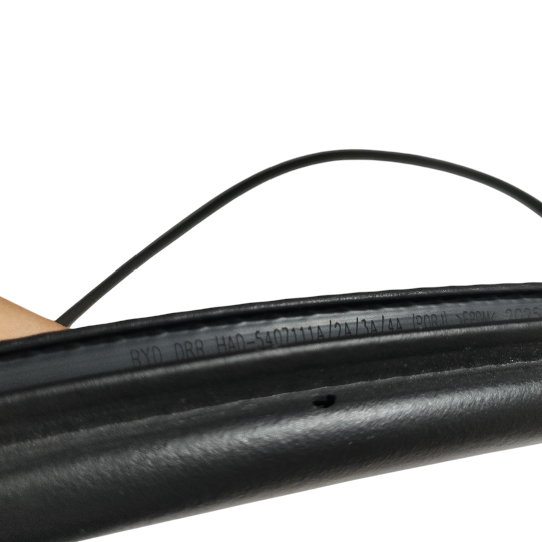 borracha porta traseira direita Byd king gs 2025 6