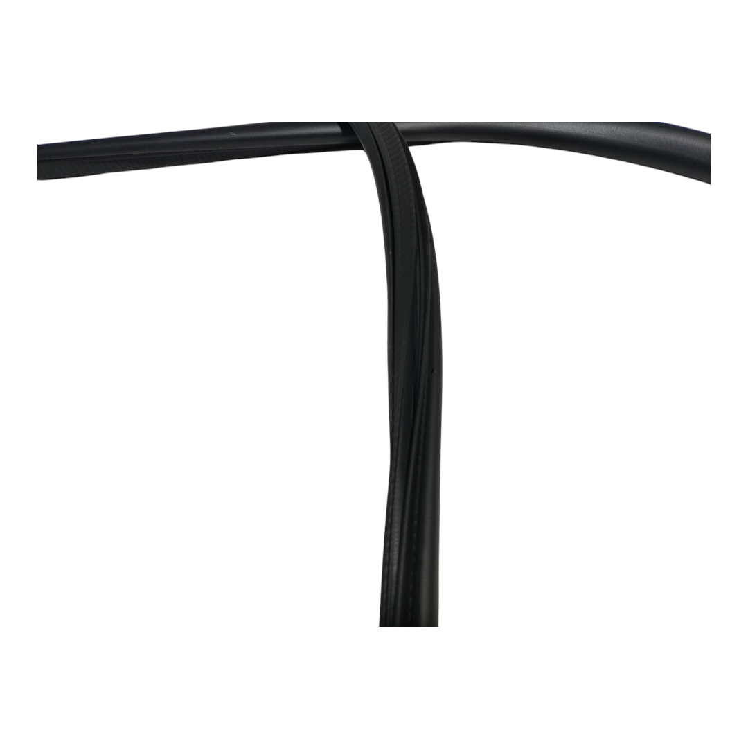 borracha porta dianteira direita Byd king gs 2025 5