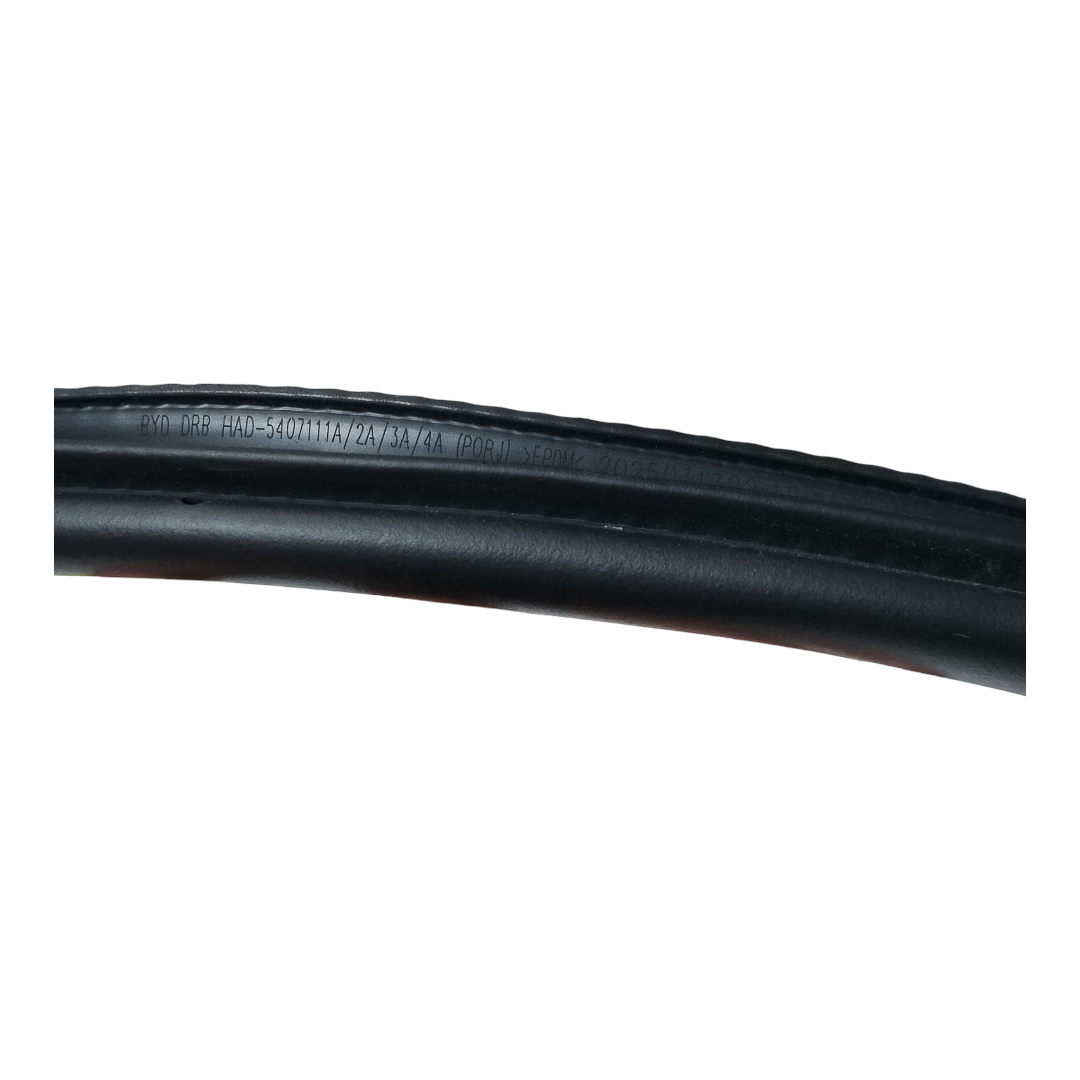 borracha porta dianteira direita Byd king gs 2025 4