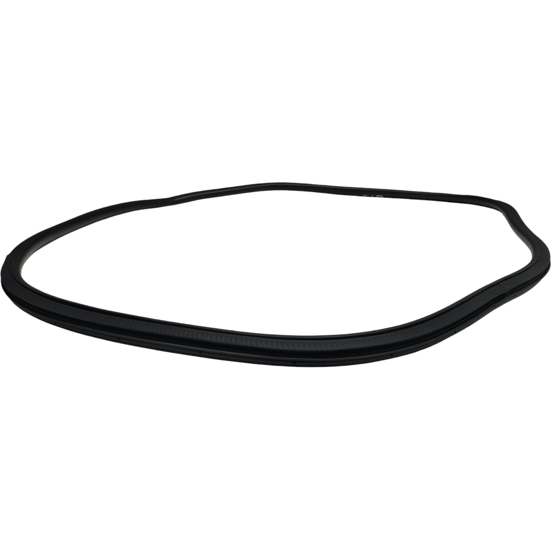 borracha porta traseira direita Byd king gs 2025 4