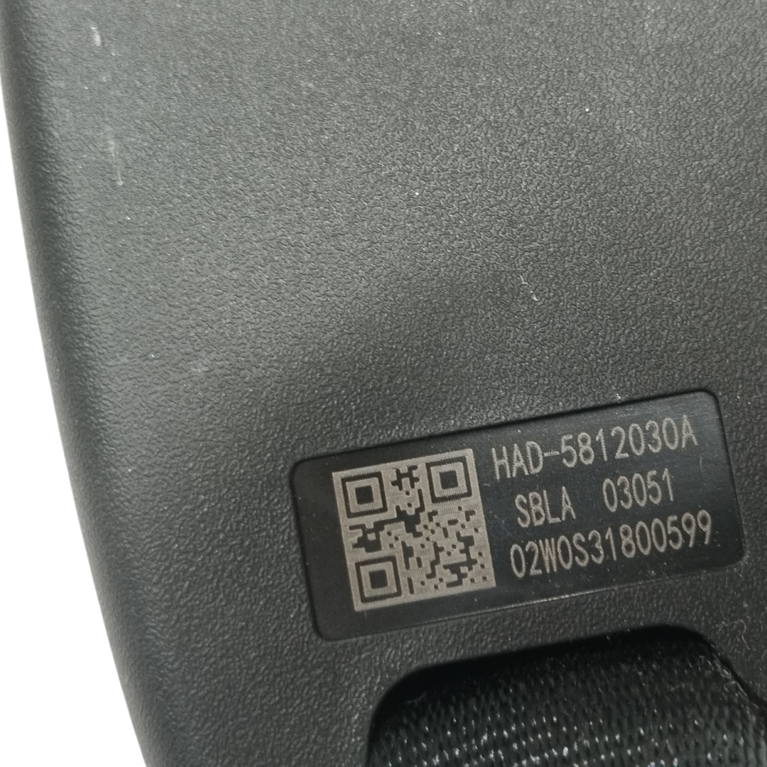 engate cinto Byd king gs 2025 9