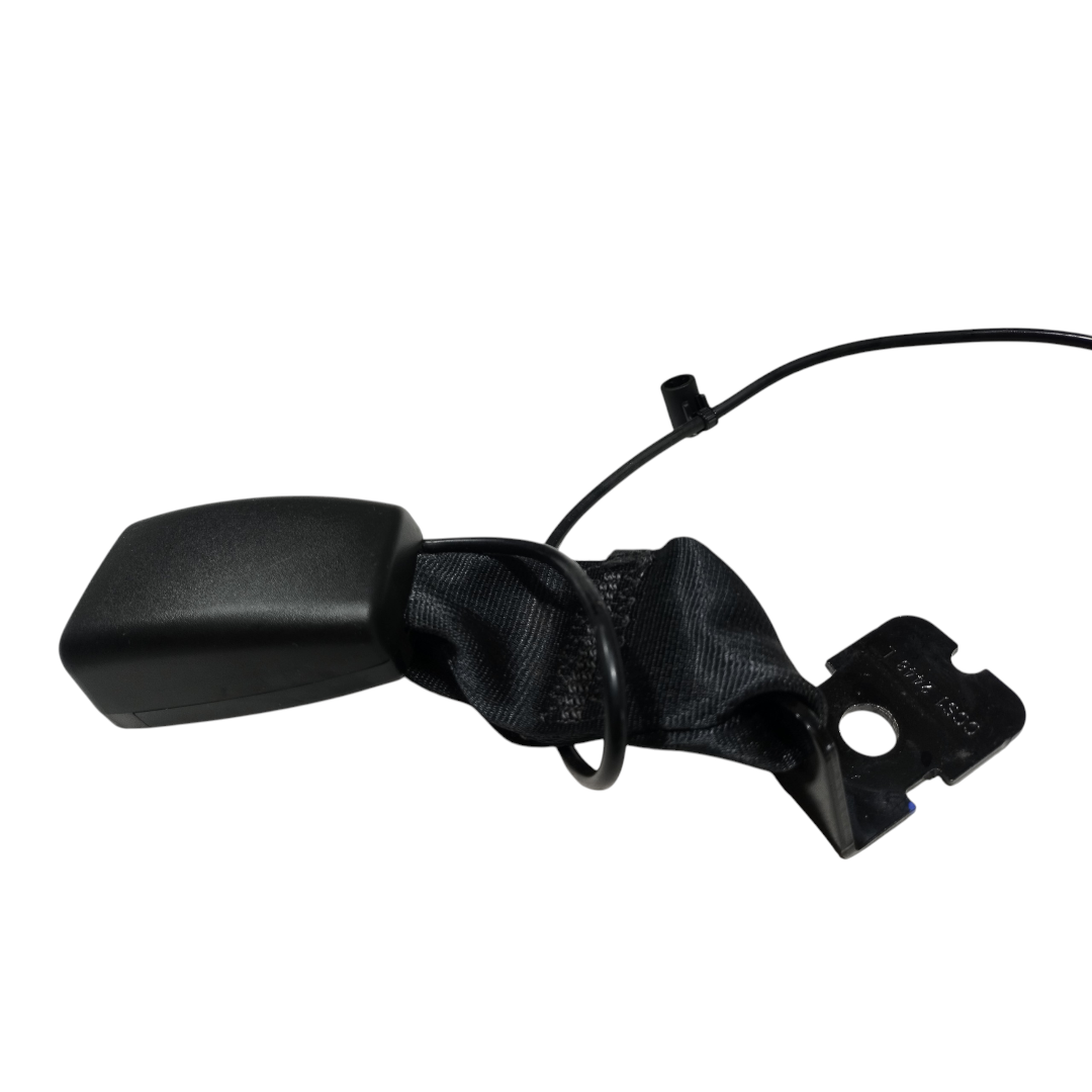 engate cinto Byd king gs 2025 1