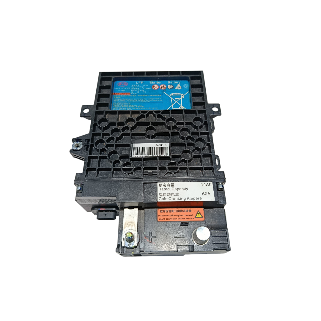 bateria partida Byd king gs 2025 8