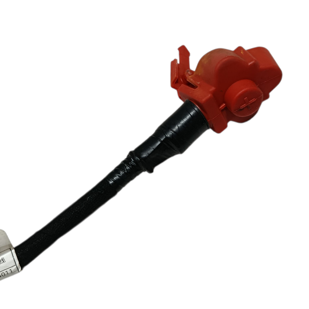 Cabo positivo bateria BYD KING GS 1.5 2025 6