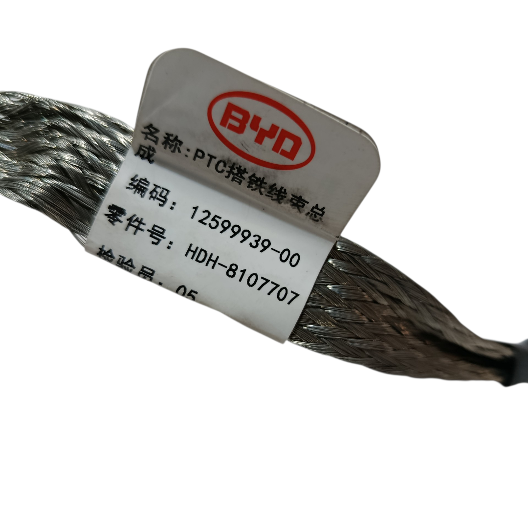 Cabo aterramento negativo BYD KING GS 1.5 2025 6