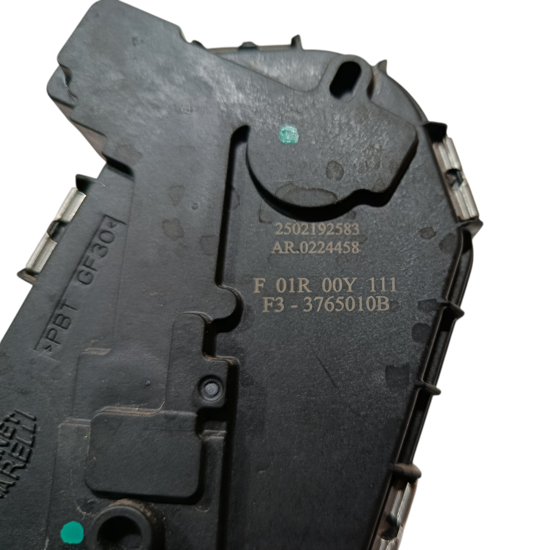 TBI corpo borboleta BYD KING GS 1.5 2025 6