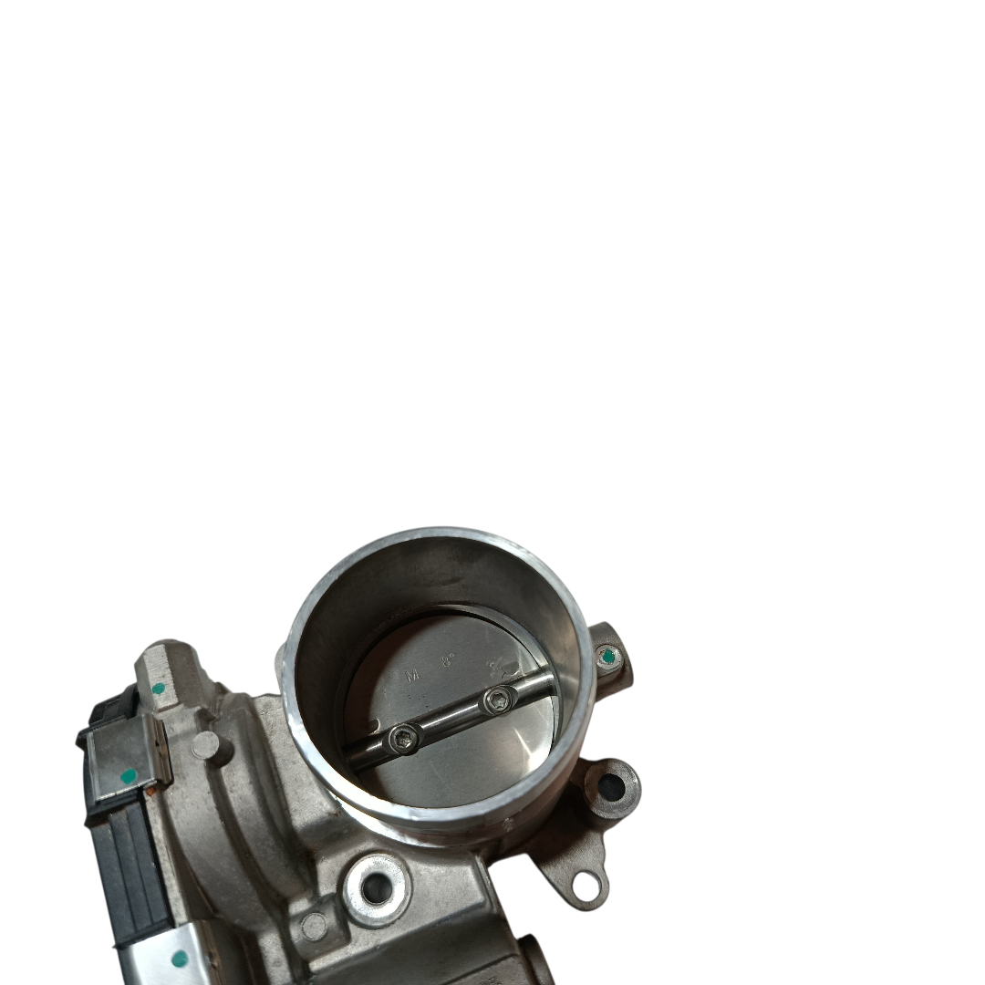 TBI corpo borboleta BYD KING GS 1.5 2025 8