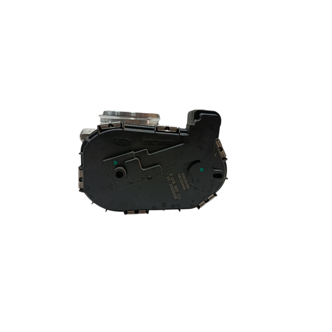TBI corpo borboleta BYD KING GS 1.5 2025 5