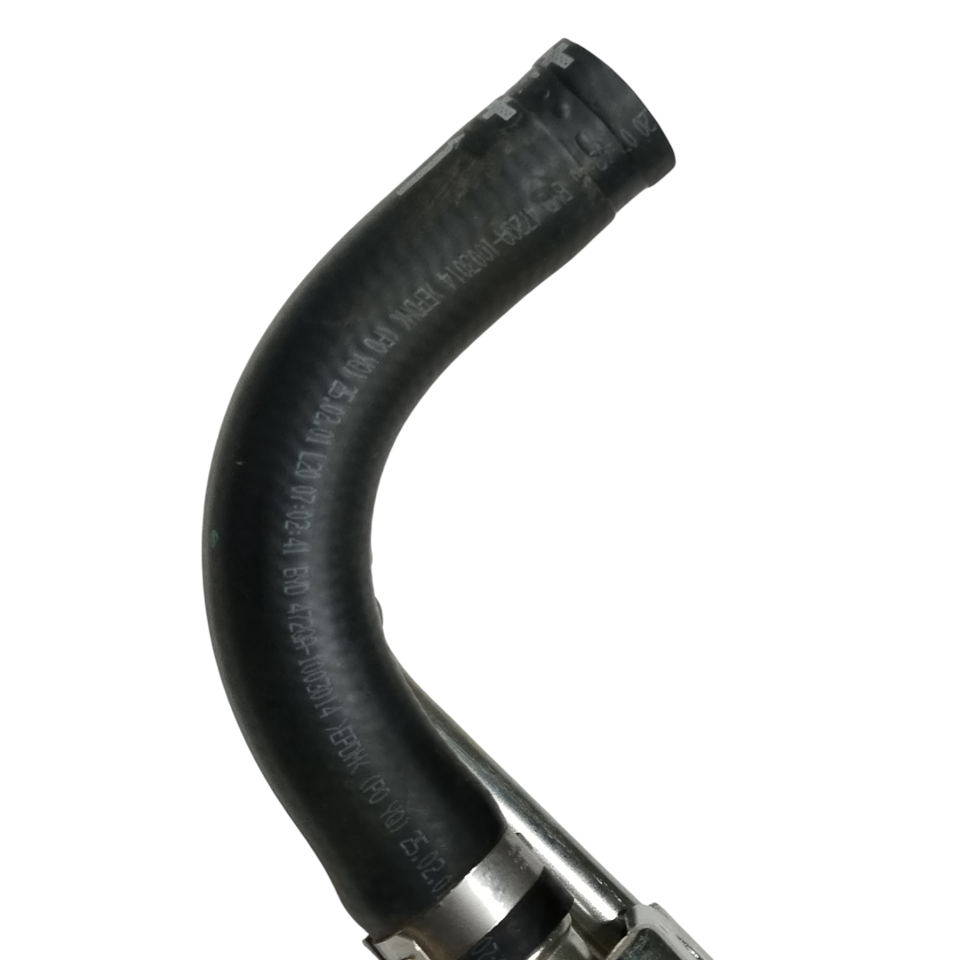 cano água motor BYD King GS 1.5 2025 7