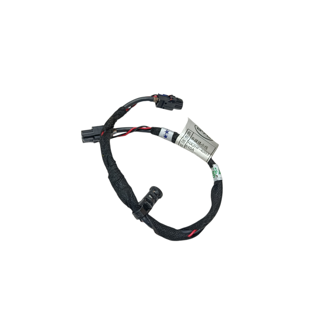 chicote leitor navegação BYD King GS 1.5 2025 5