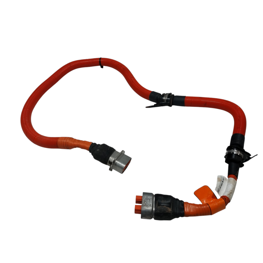 chicote bateria BYD KING GS 1.5 2025