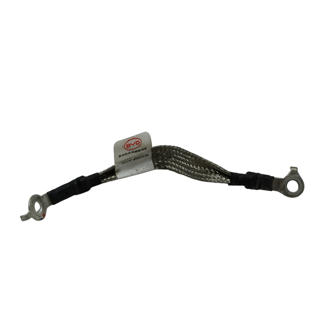 Cabo aterramento BYD KING GS 1.5 2025
