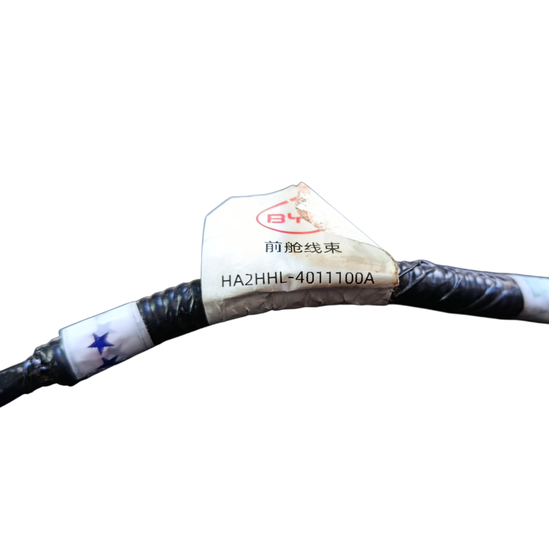 chicote externo BYD KING GS 1.5 2025 9