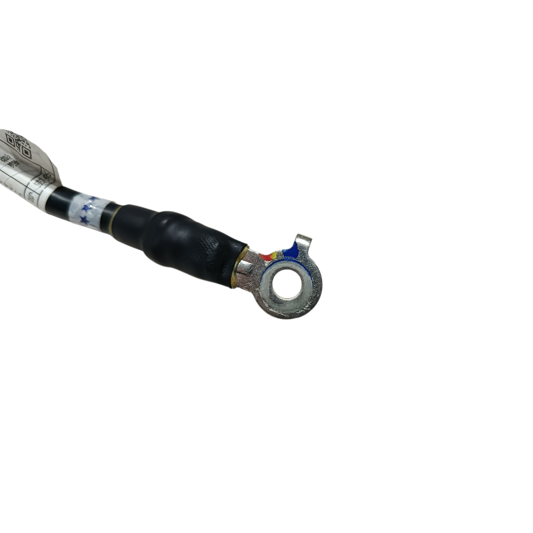 Cabo aterramento BYD KING GS 1.5 2025 4