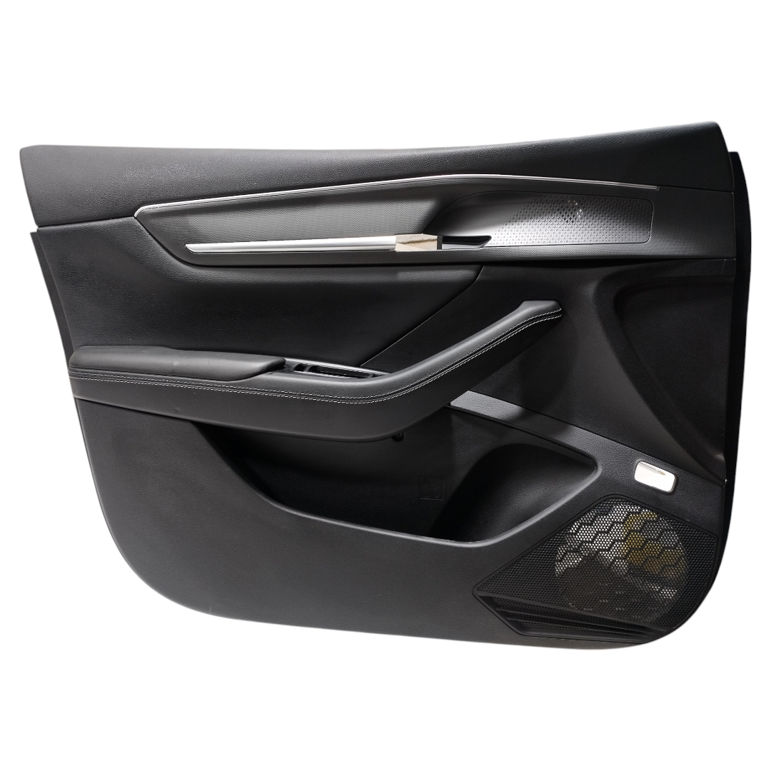 forro porta dianteira esquerda BYD KING GS 1.5 2025 10