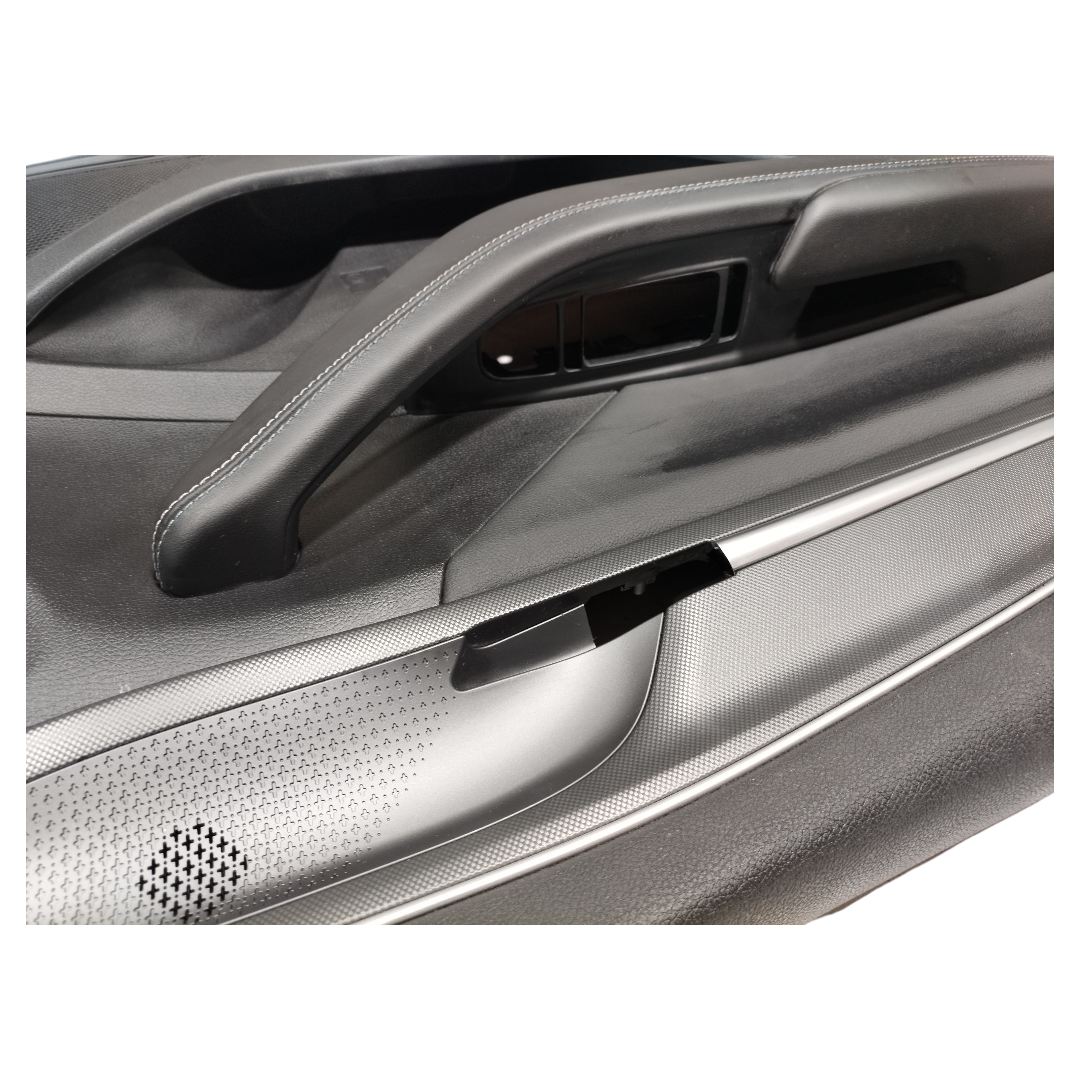 forro porta dianteira esquerda BYD KING GS 1.5 2025 5